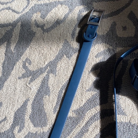 Wild One dog harness set + collar - Picture 6 of 10